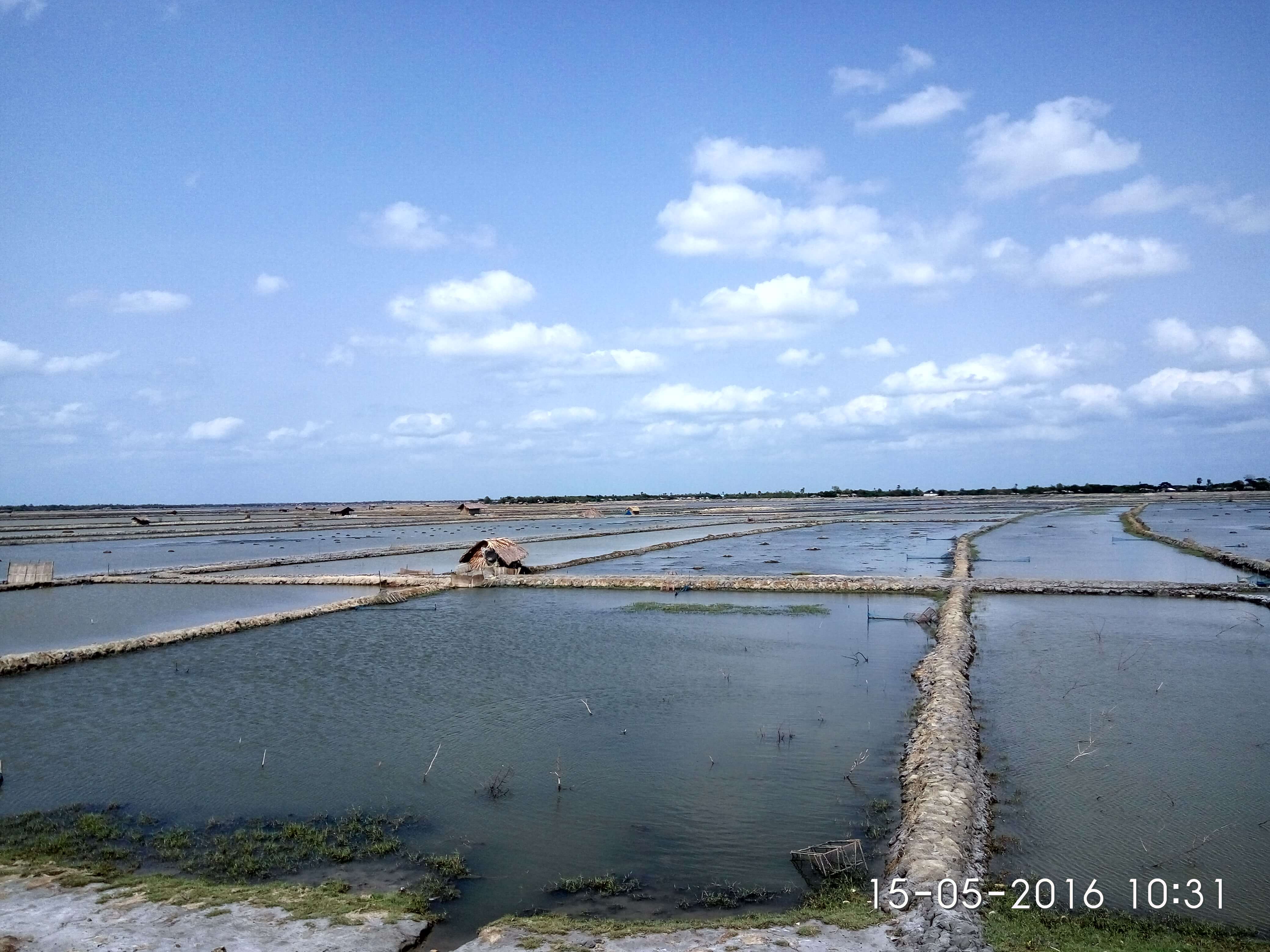 Field visit photo 10