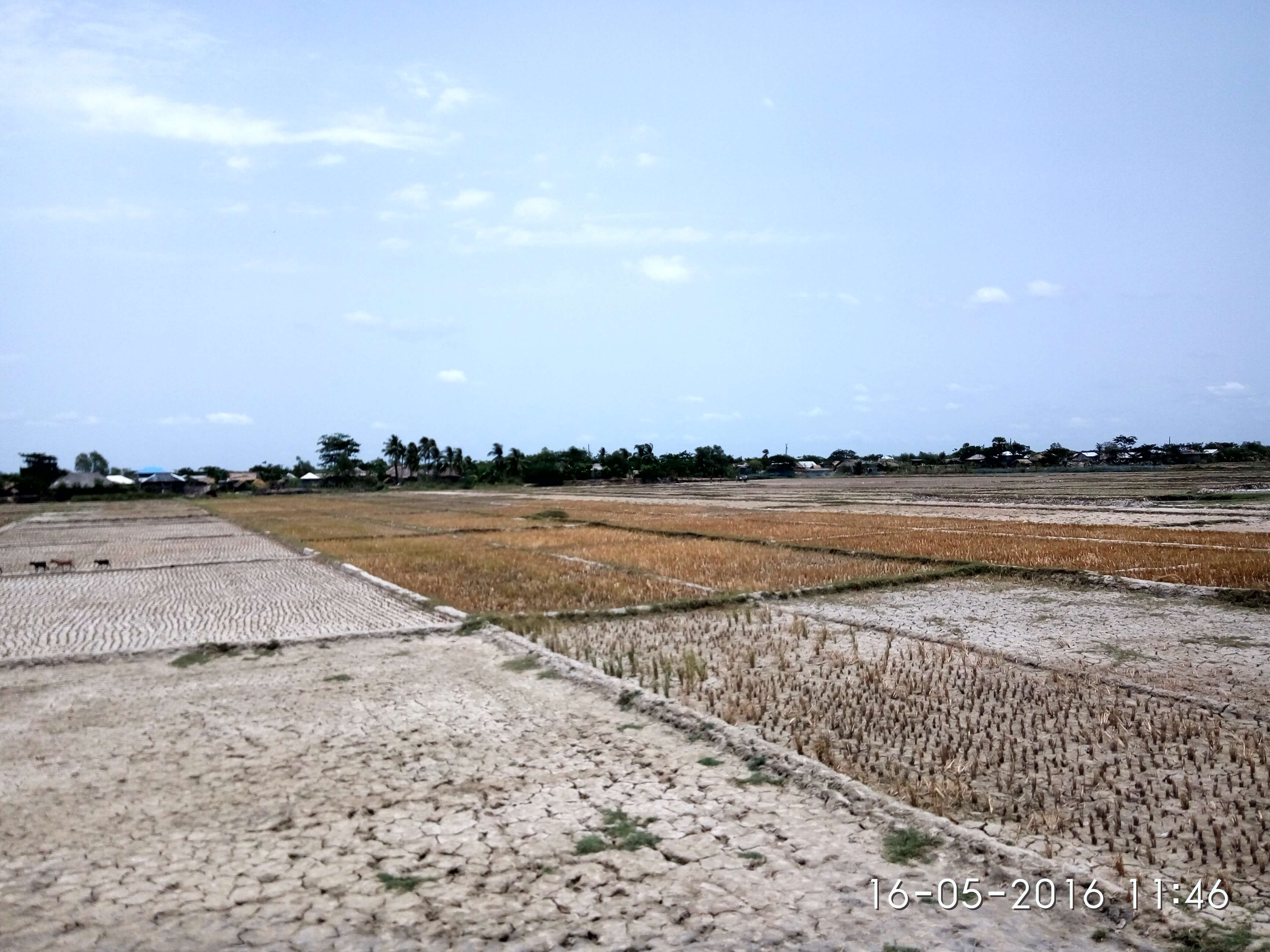 Field visit photo 12