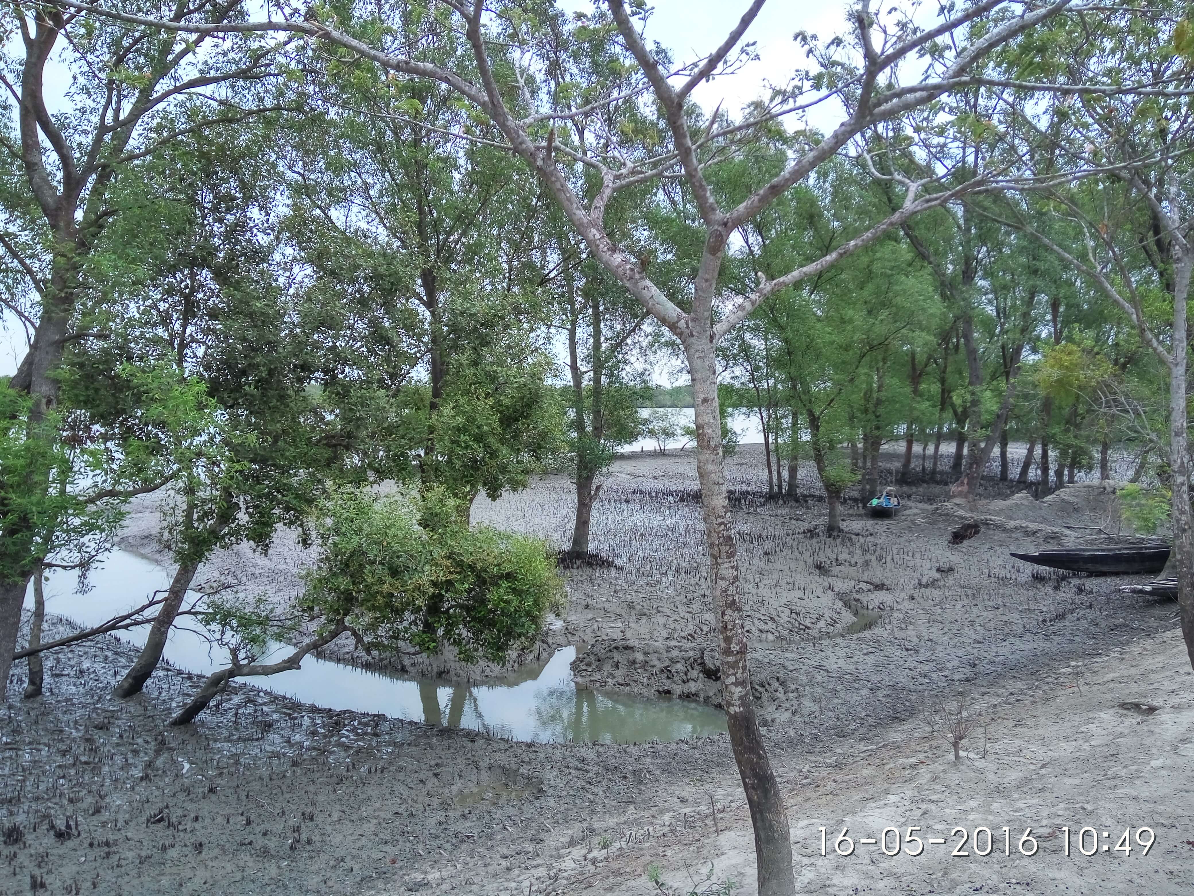 Field visit photo 13